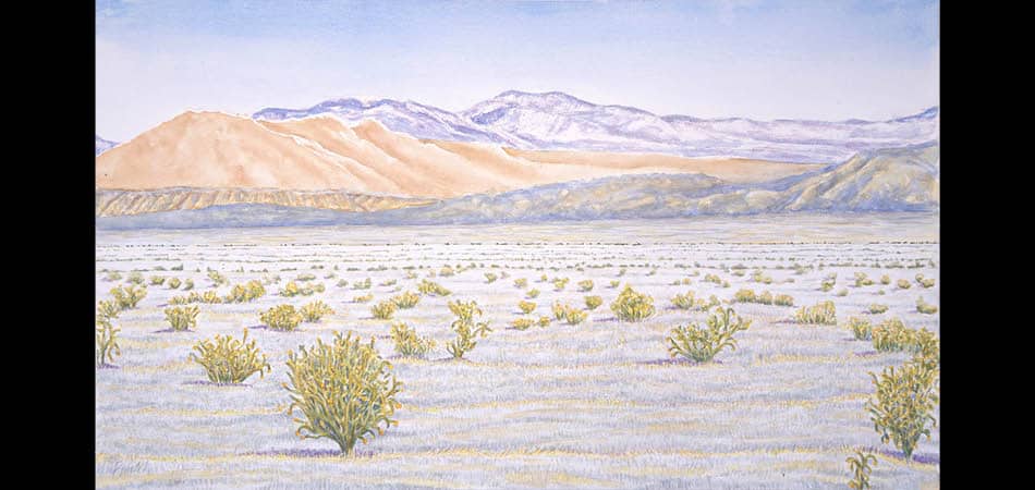 Watercolor_PW