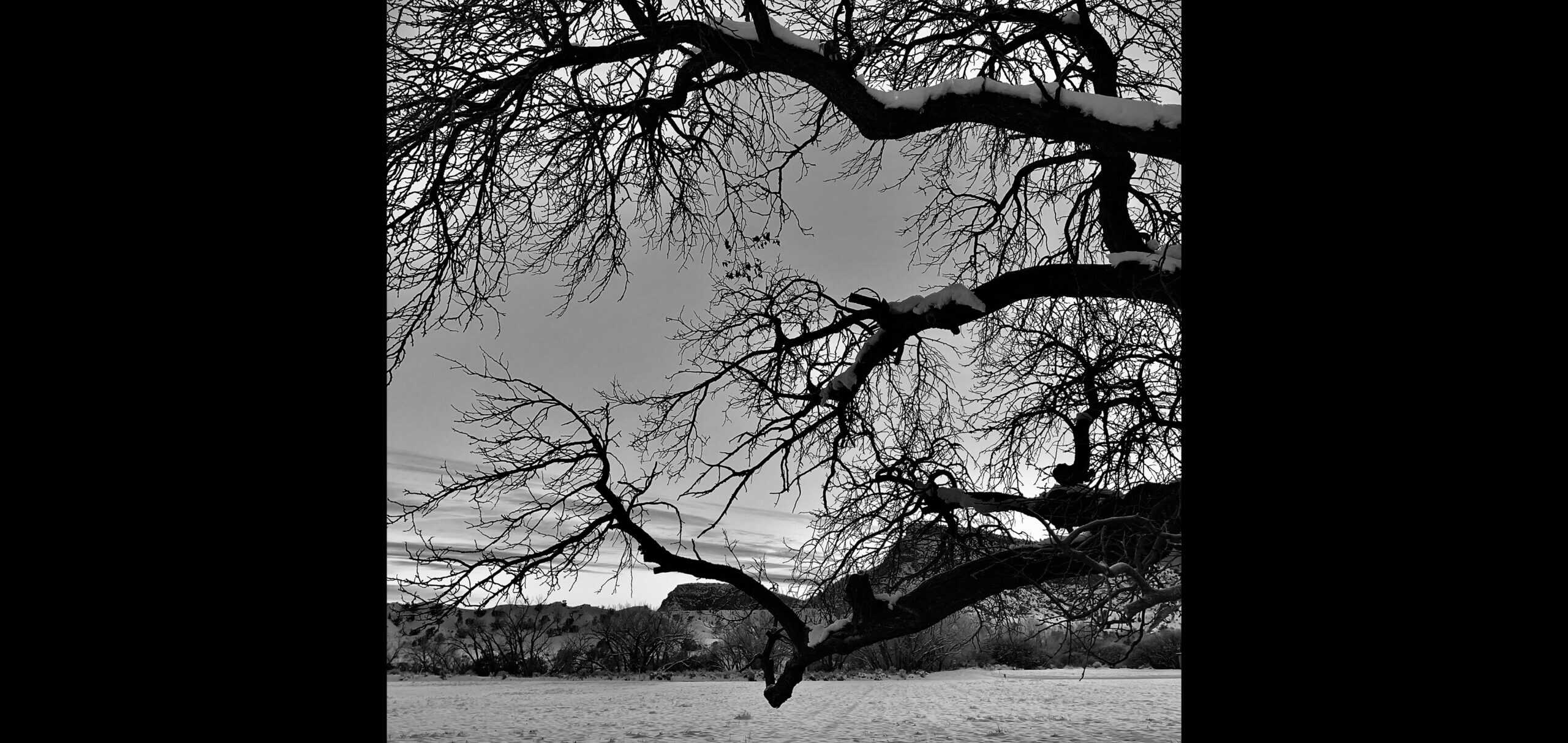 KentCoursePic