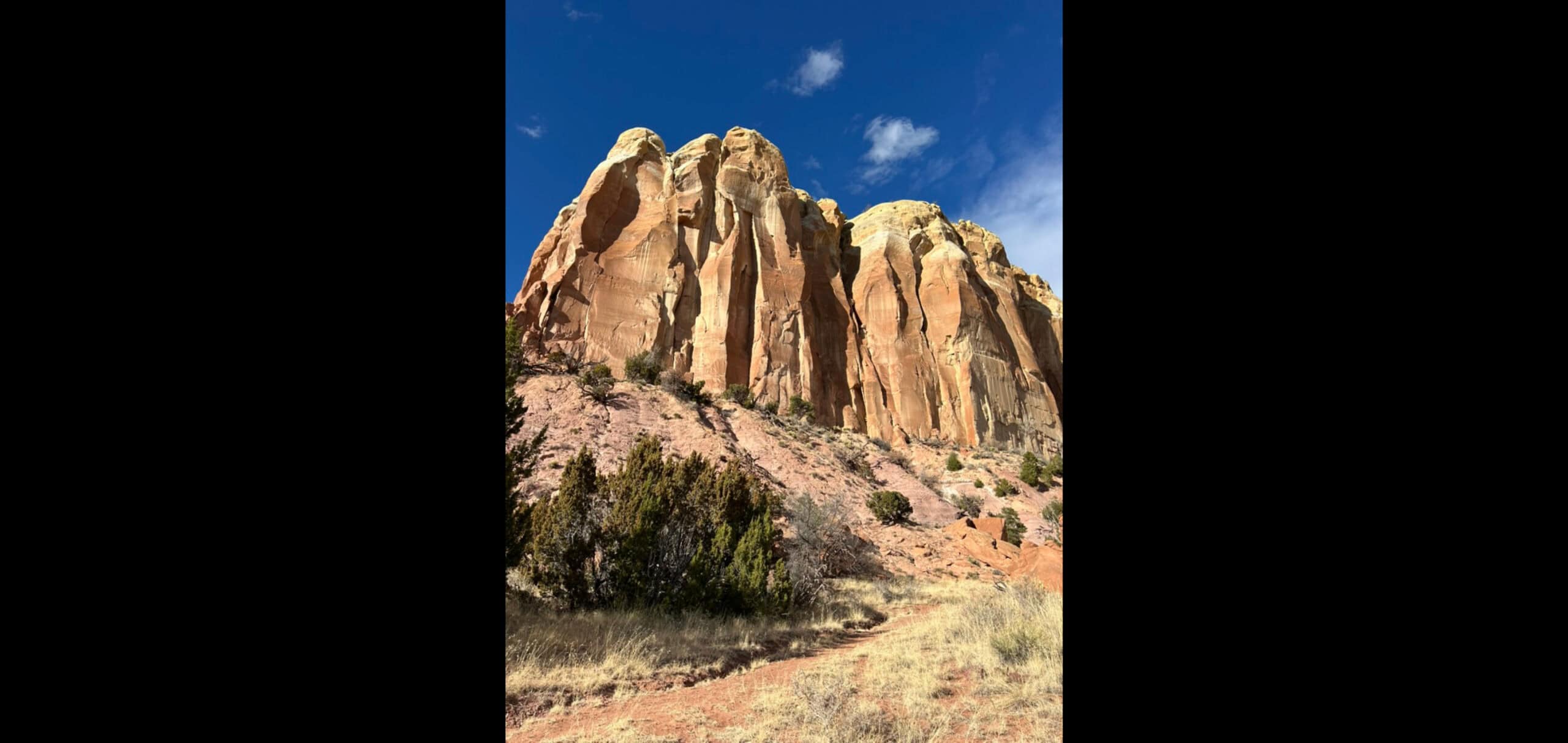 HollyThomasCoursePic