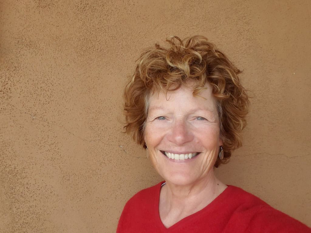 Sue Dwyer